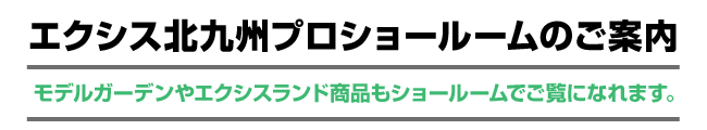 �������ƥꥢ���硼�롼��Τ�����